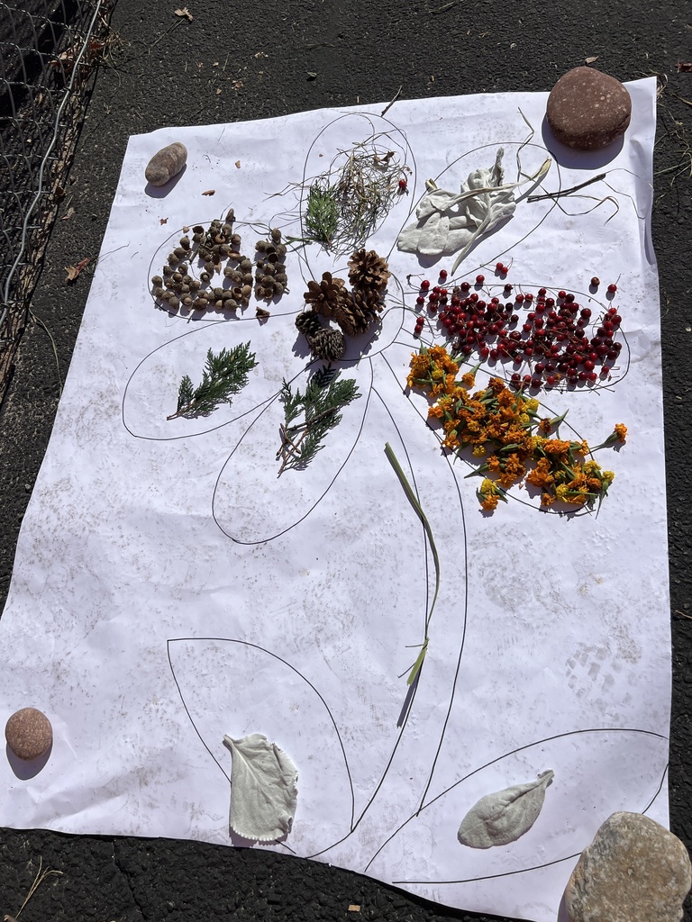 Nature art