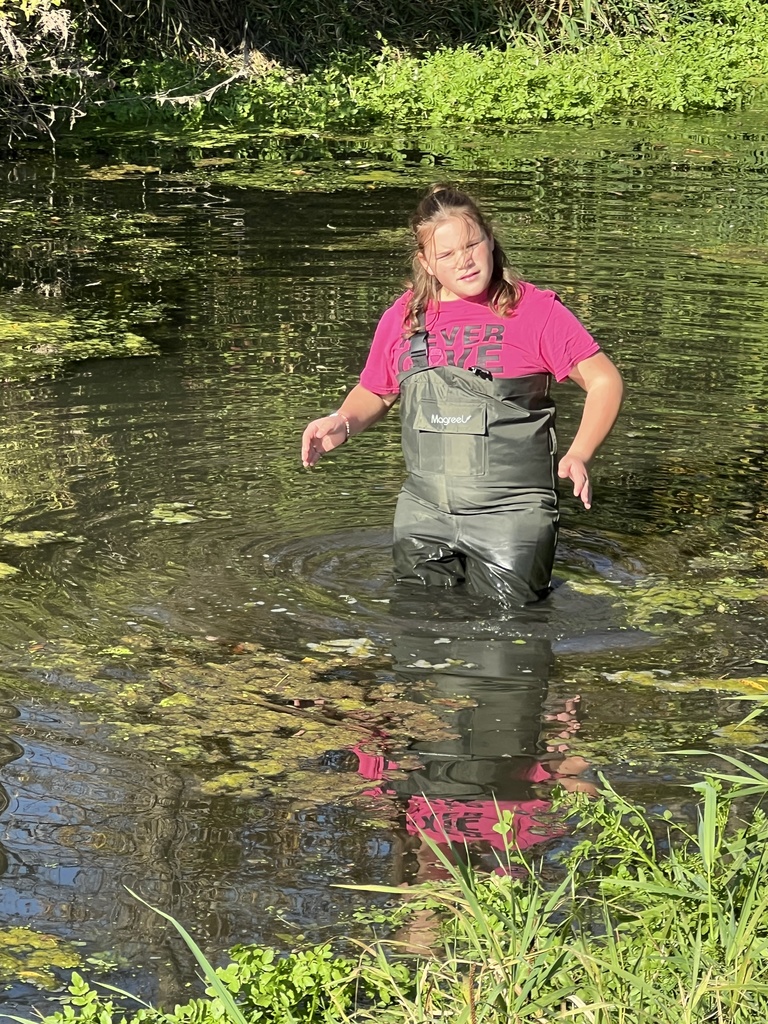 Spring creek