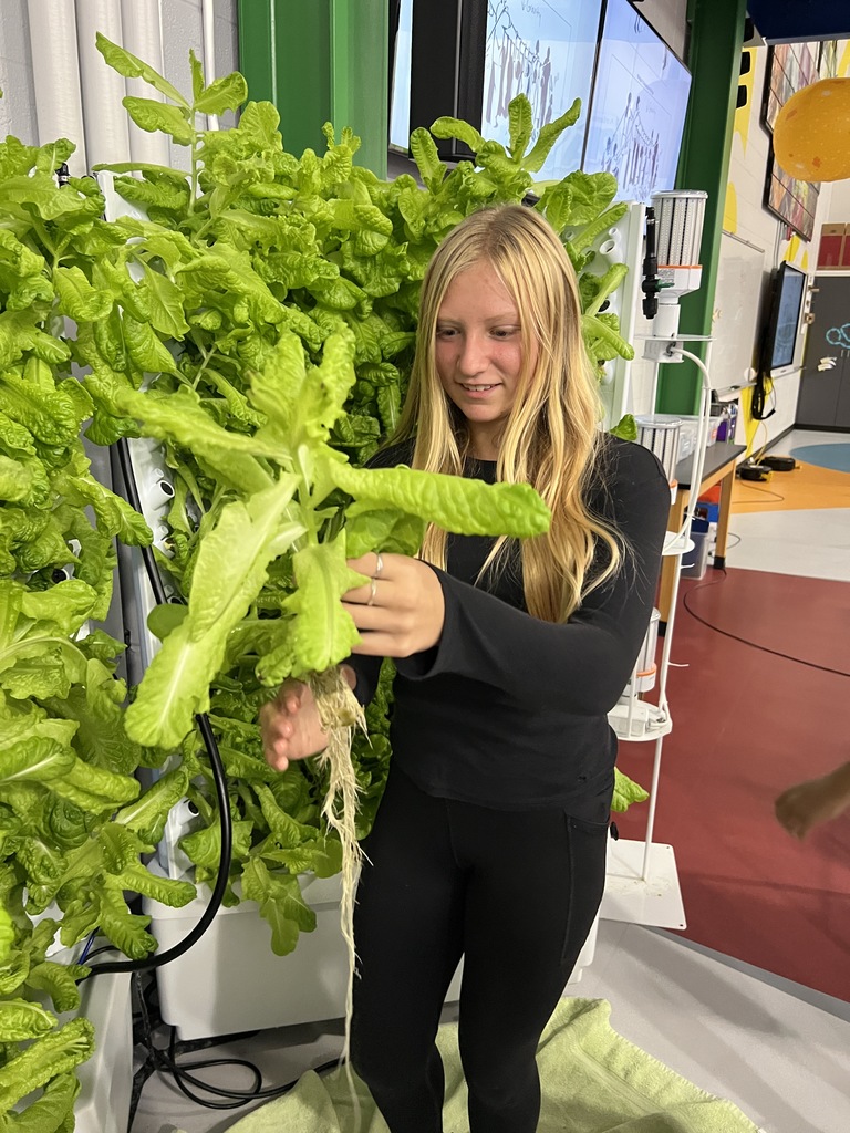 harvest