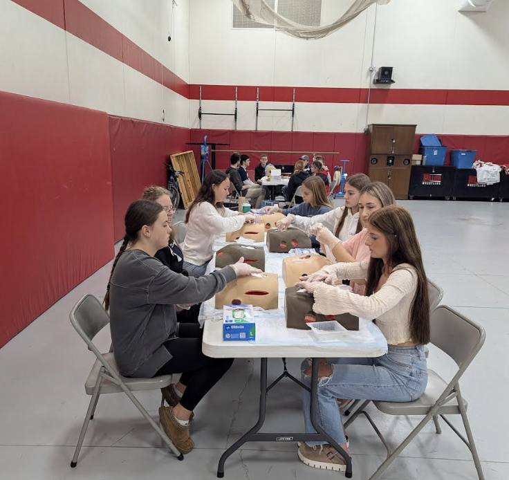 Hands on Healthcare stations