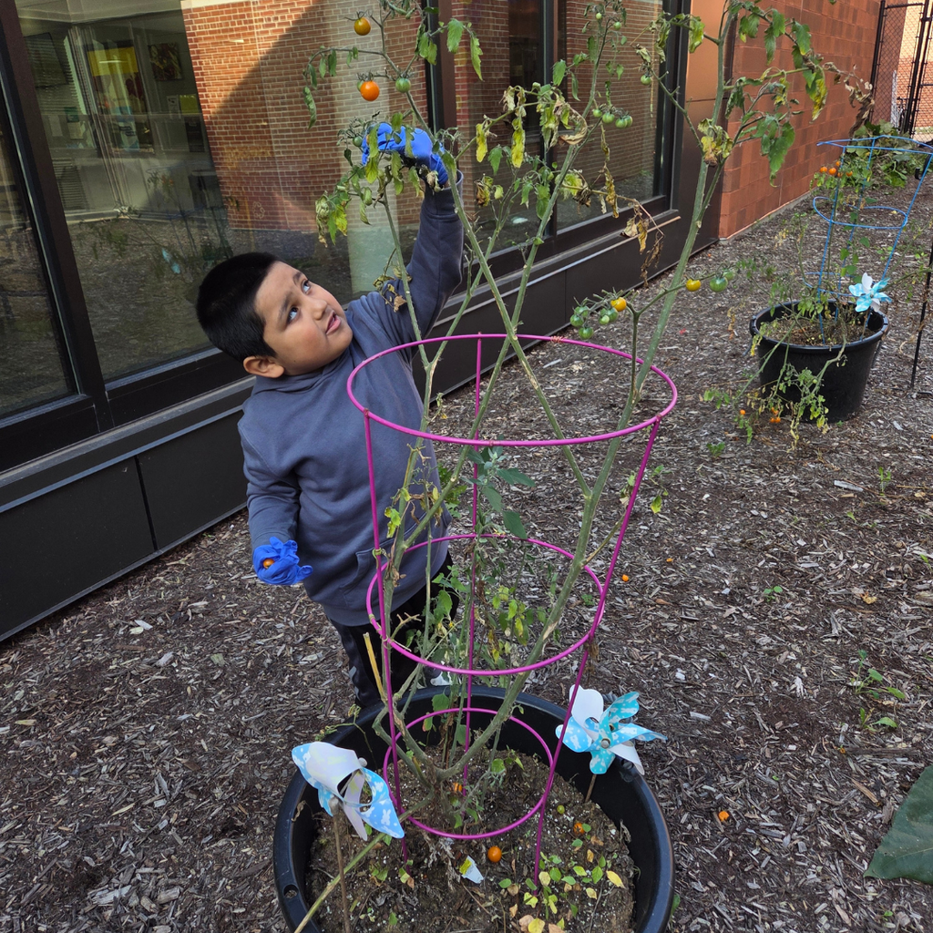 EC Garden2