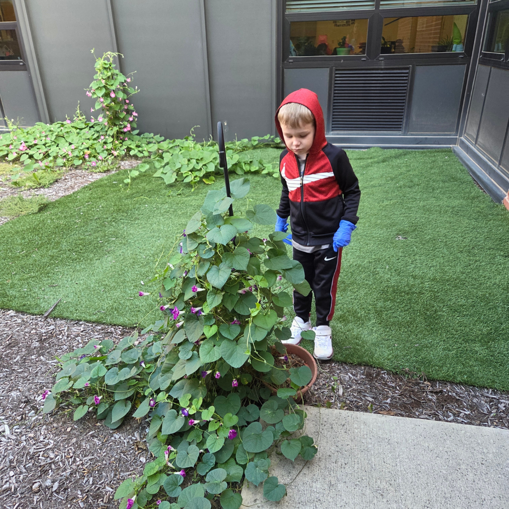 EC Garden3