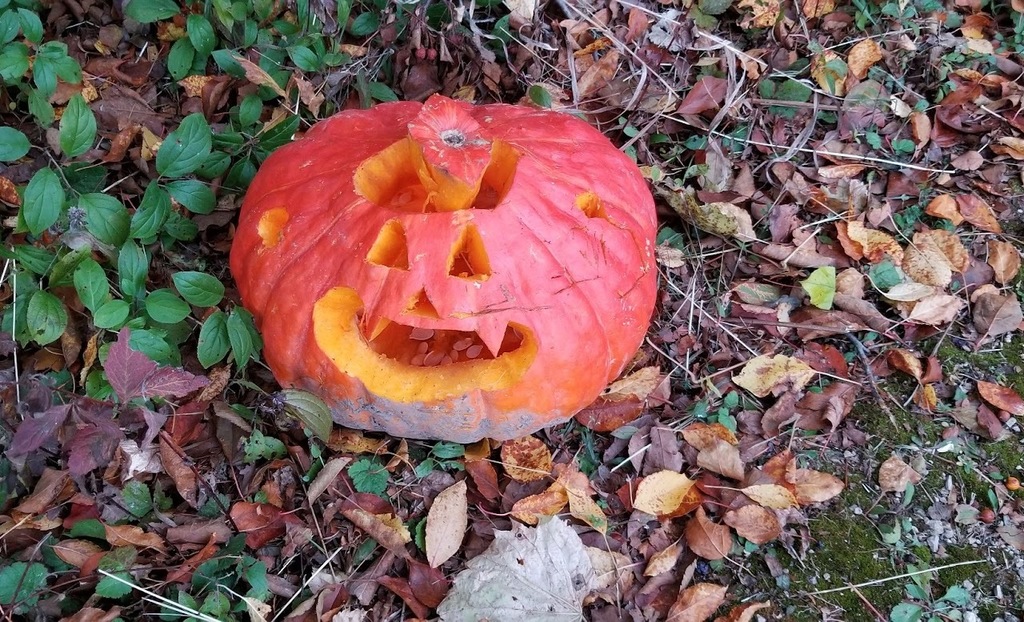Pumpkin Walk