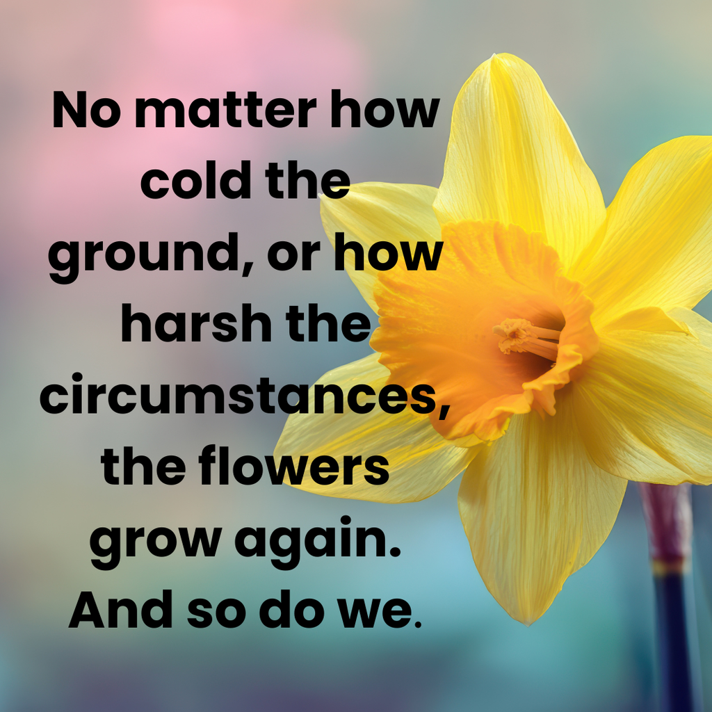 Motivation saying with daffodil
