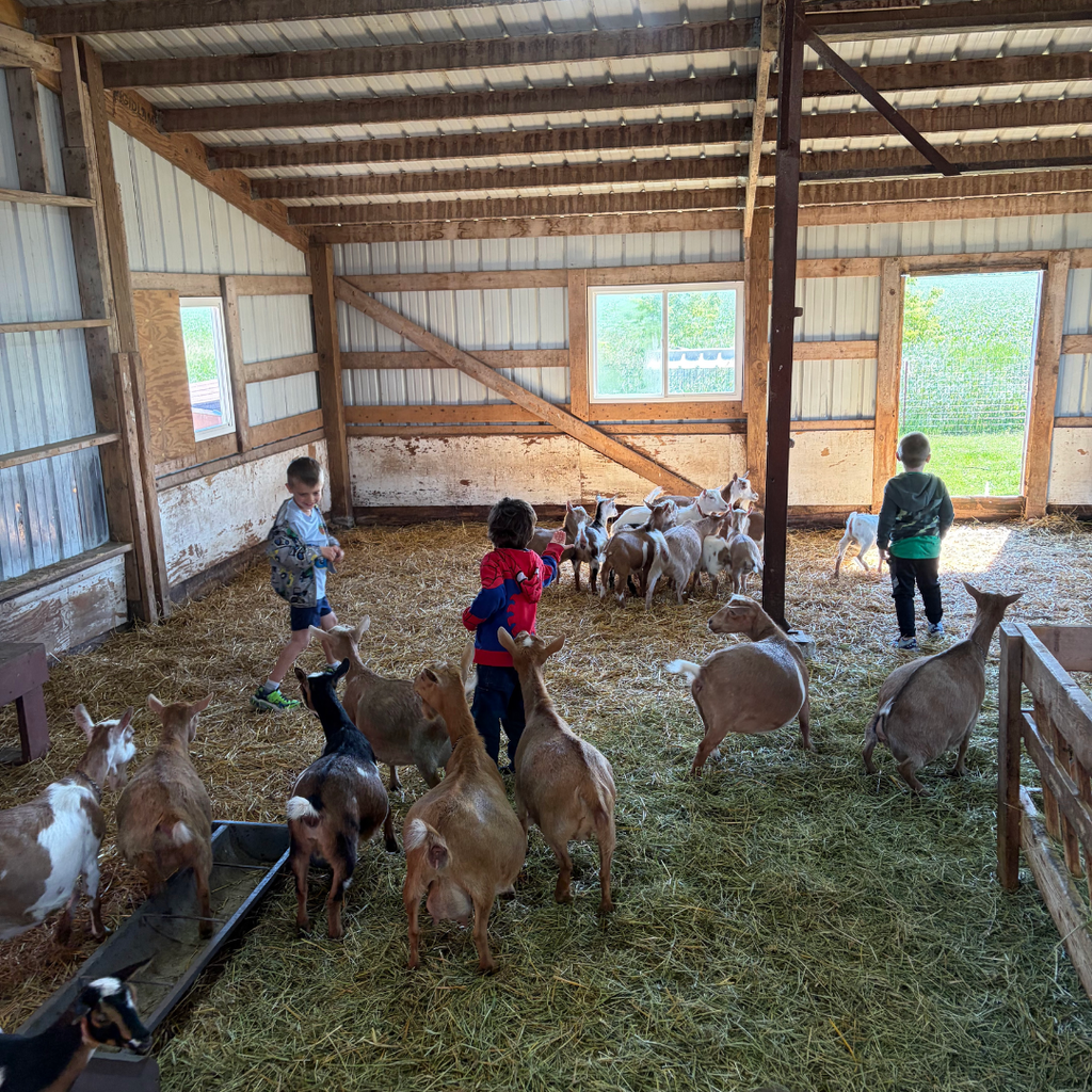 Farm4