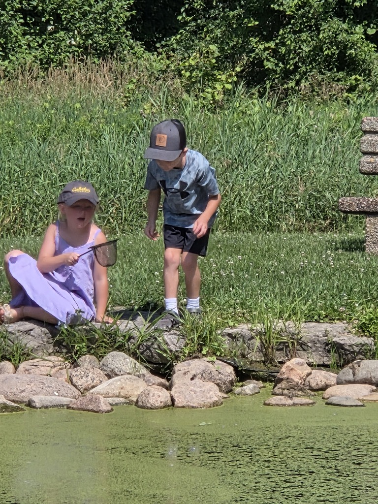 Pond2