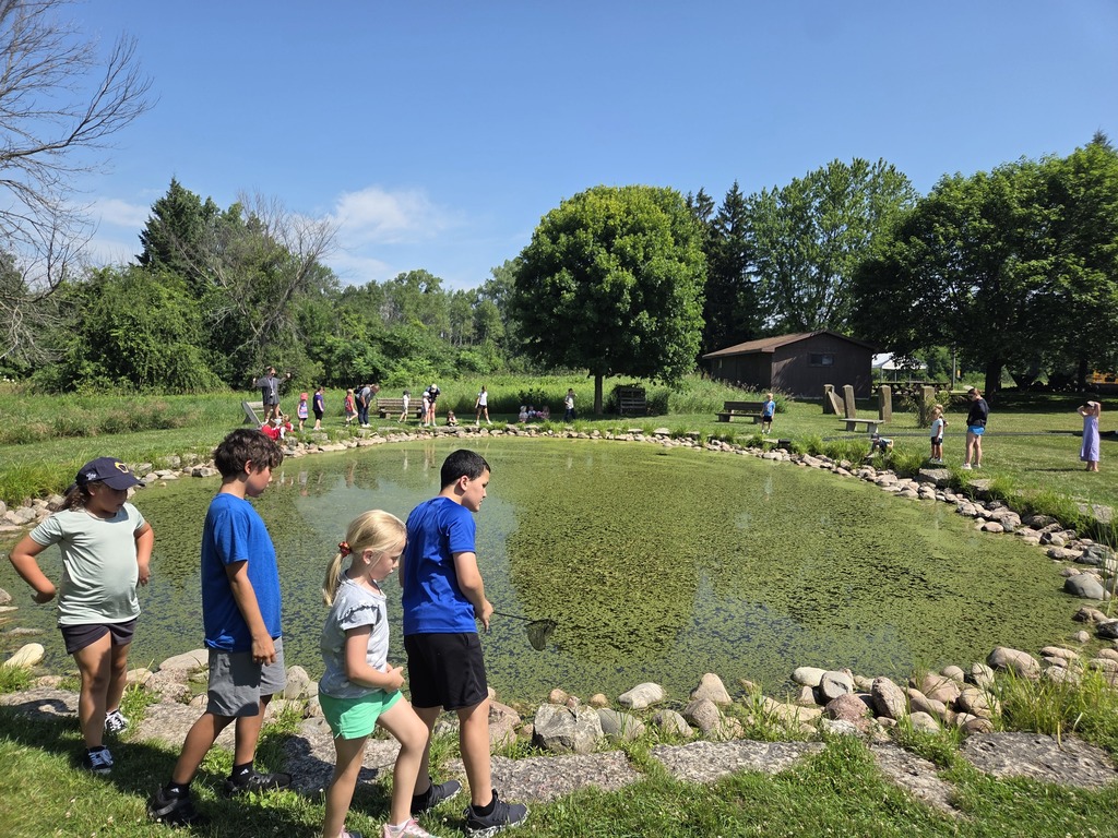 Pond