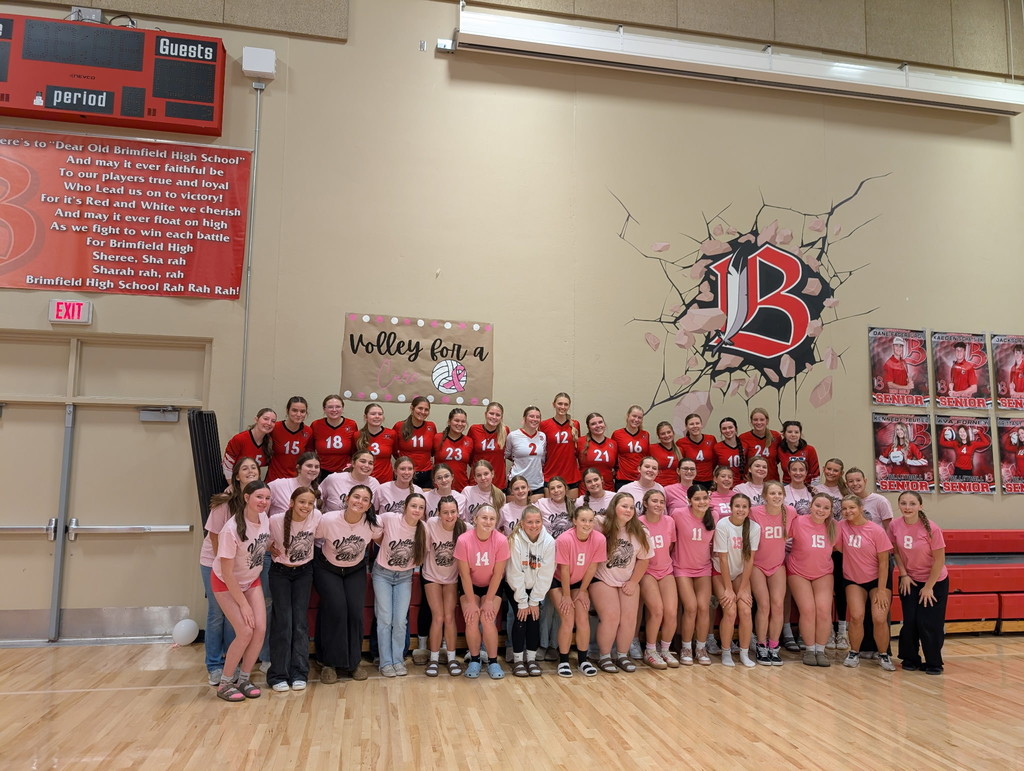 Volley 4 A Cure