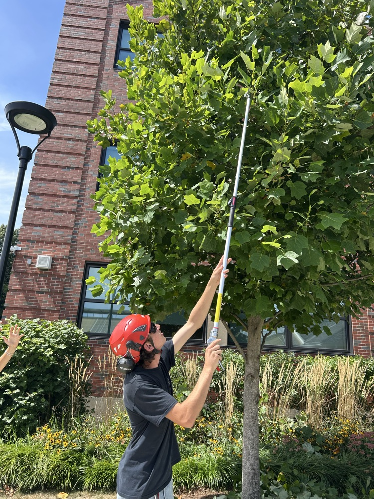 Arboriculture seniors
