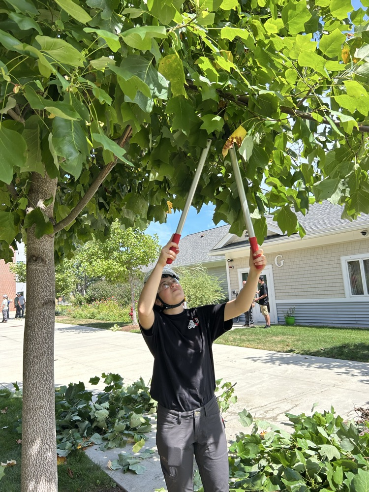 Arboriculture seniors