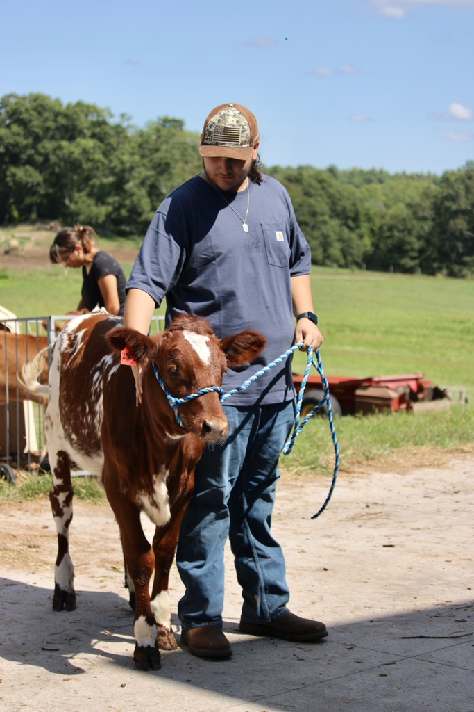 livestock students