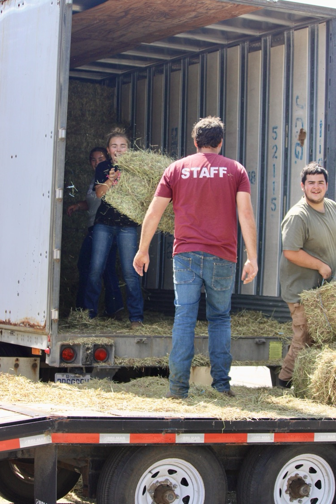 livestock students