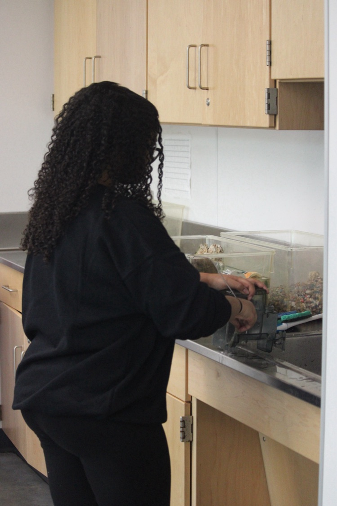Juniors in Companion doing chores