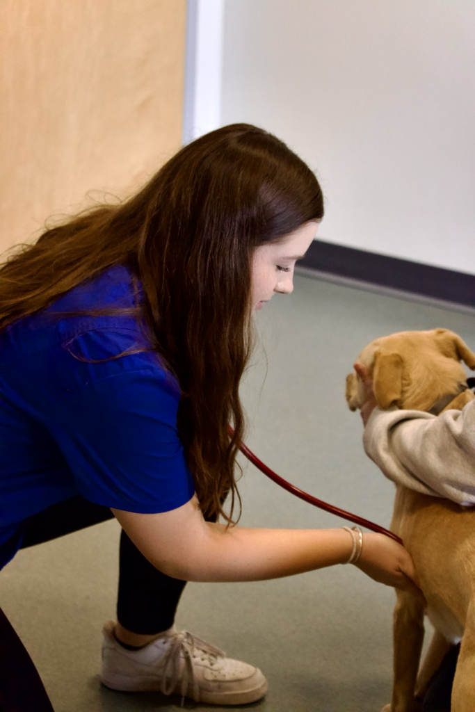 Vet students 