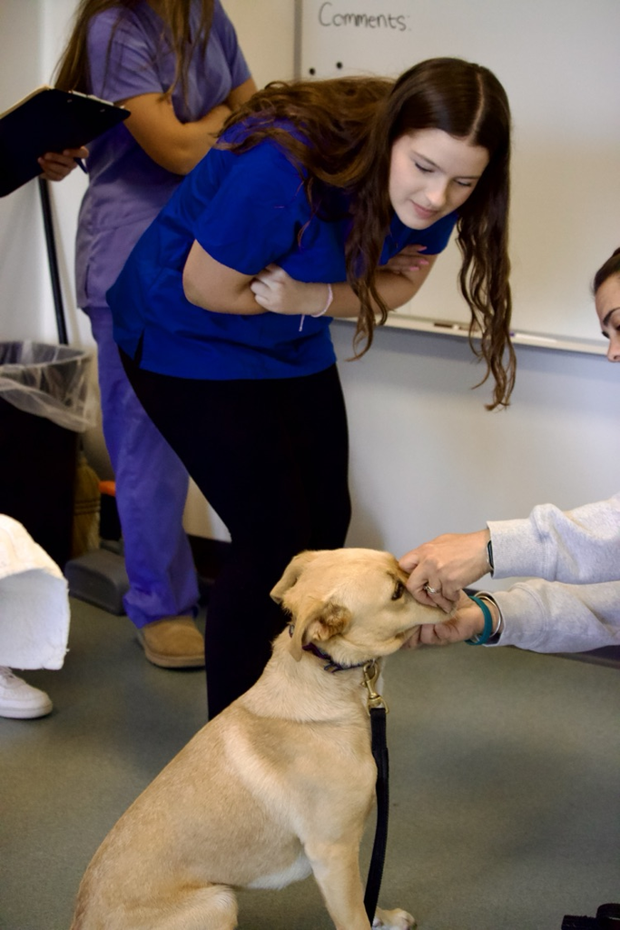Vet students 