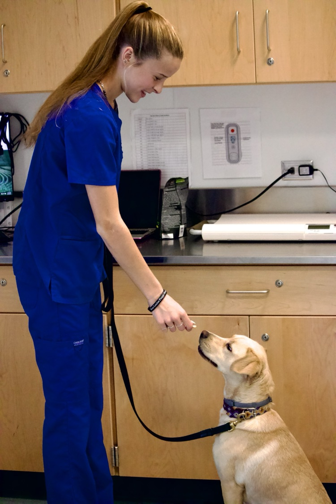 Vet students 