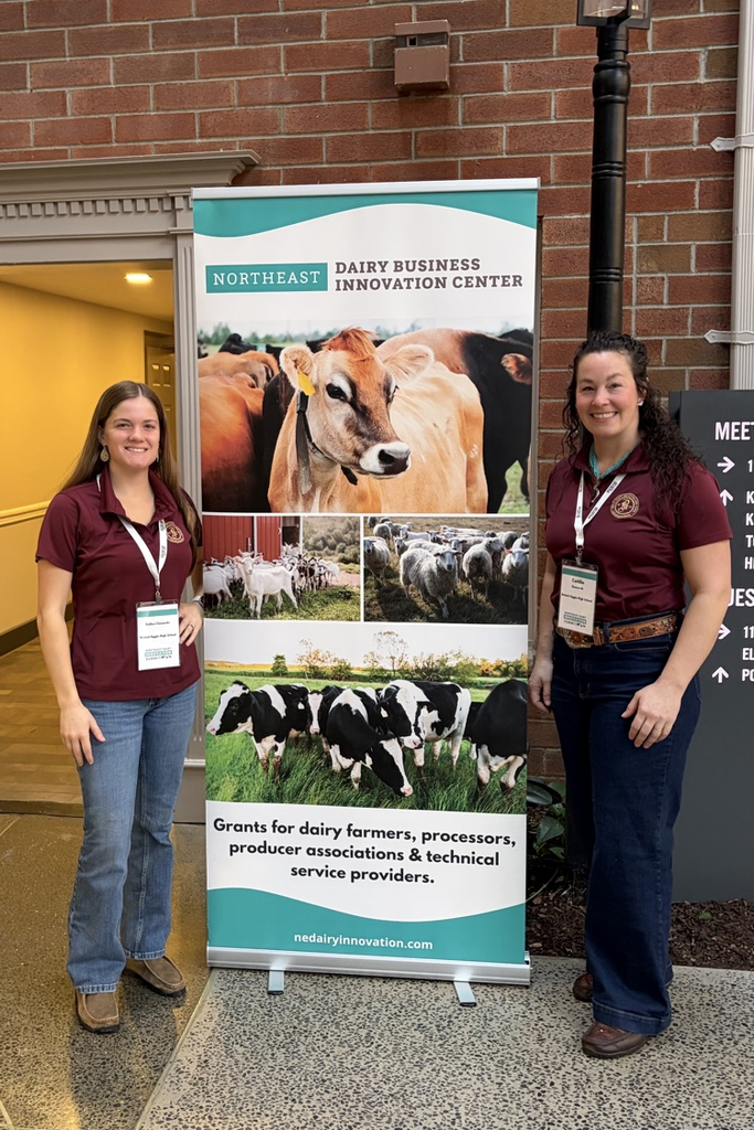 Ms Bosworth and Ms Clements