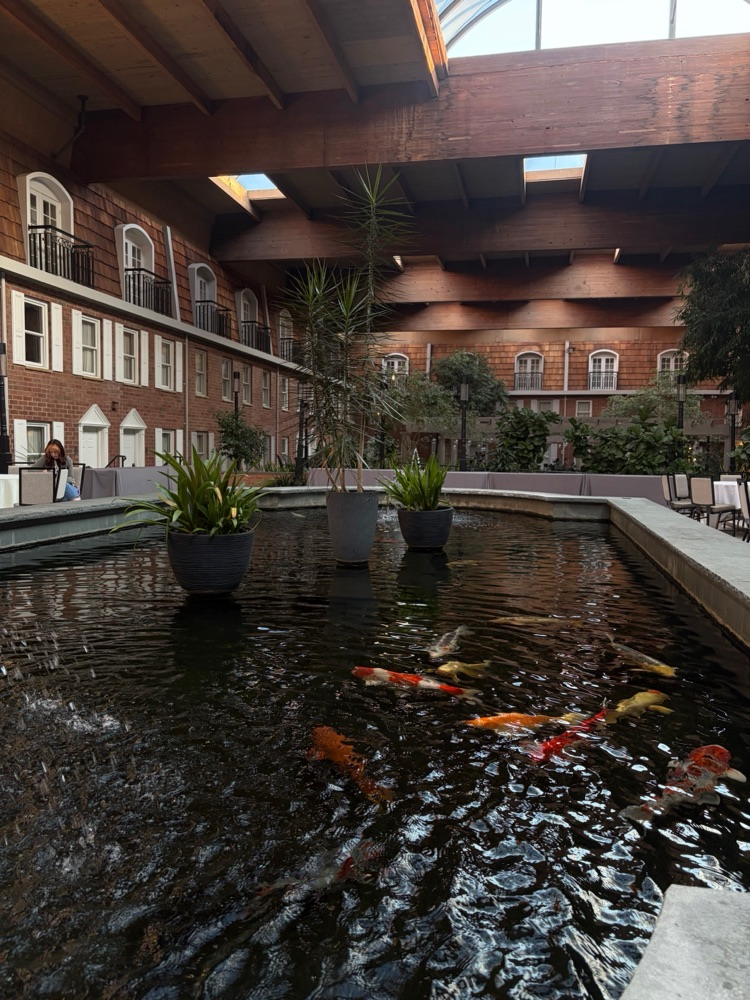 Hotel from conference