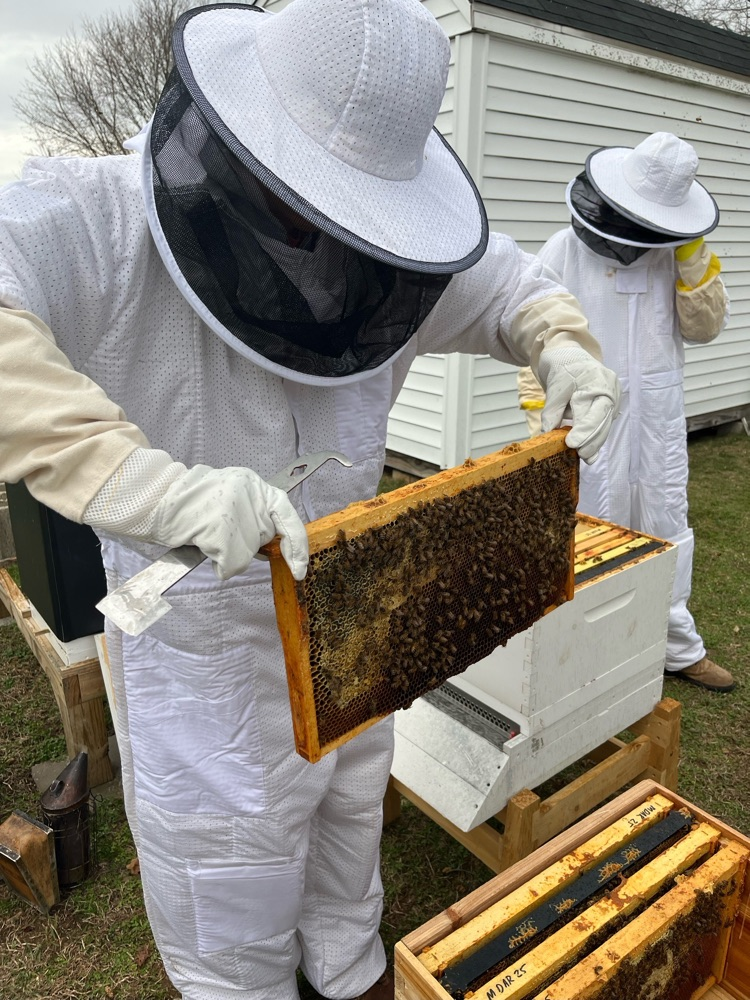 beekeeping club