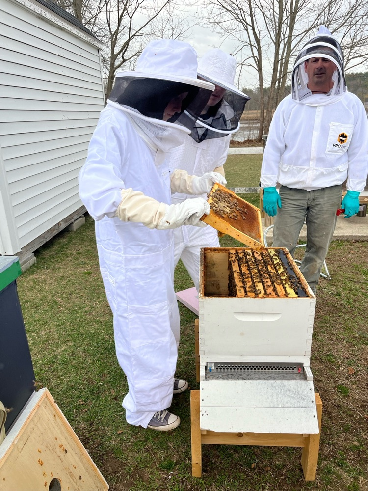 beekeeping club