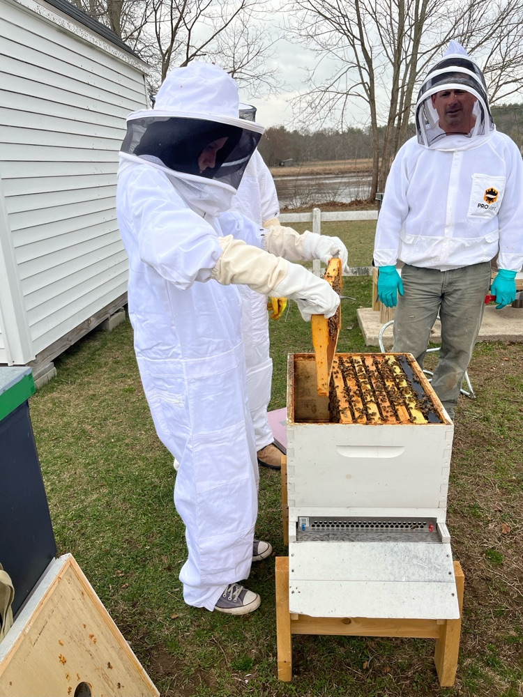beekeeping club