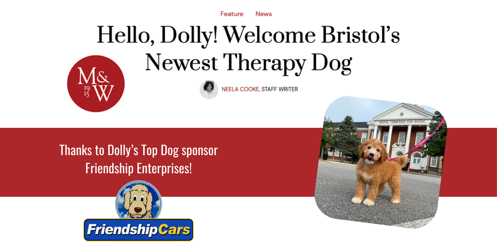 Graphic introducing Dolly, Bristol Tennessee High School’s newest therapy dog. The top section features the headline ‘Hello, Dolly! Welcome Bristol’s Newest Therapy Dog’ with the Maroon & White student newspaper logo and staff writer credit. Below, a red banner thanks Dolly’s Top Dog sponsor, Friendship Enterprises, with the Friendship Cars logo. On the right, a photo shows Dolly, a fluffy brown Goldendoodle puppy with white paws, standing on the pavement in front of Bristol Tennessee High School.