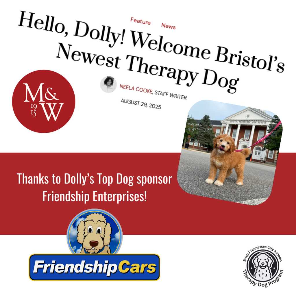 Social media graphic announcing Tennessee High School’s new therapy dog, Dolly. The top section shows the headline of a Maroon & White student newspaper article titled “Hello, Dolly! Welcome Bristol’s Newest Therapy Dog,” written by staff writer Neela Cooke. To the right is a photo of Dolly, a small, fluffy brown Goldendoodle puppy with white markings, standing on a street in front of Tennessee High School. Below, a red banner reads, “Thanks to Dolly’s Top Dog sponsor Friendship Enterprises!” At the bottom are the Friendship Cars logo with a cartoon dog and the Bristol Tennessee City Schools Therapy Dog Program logo.