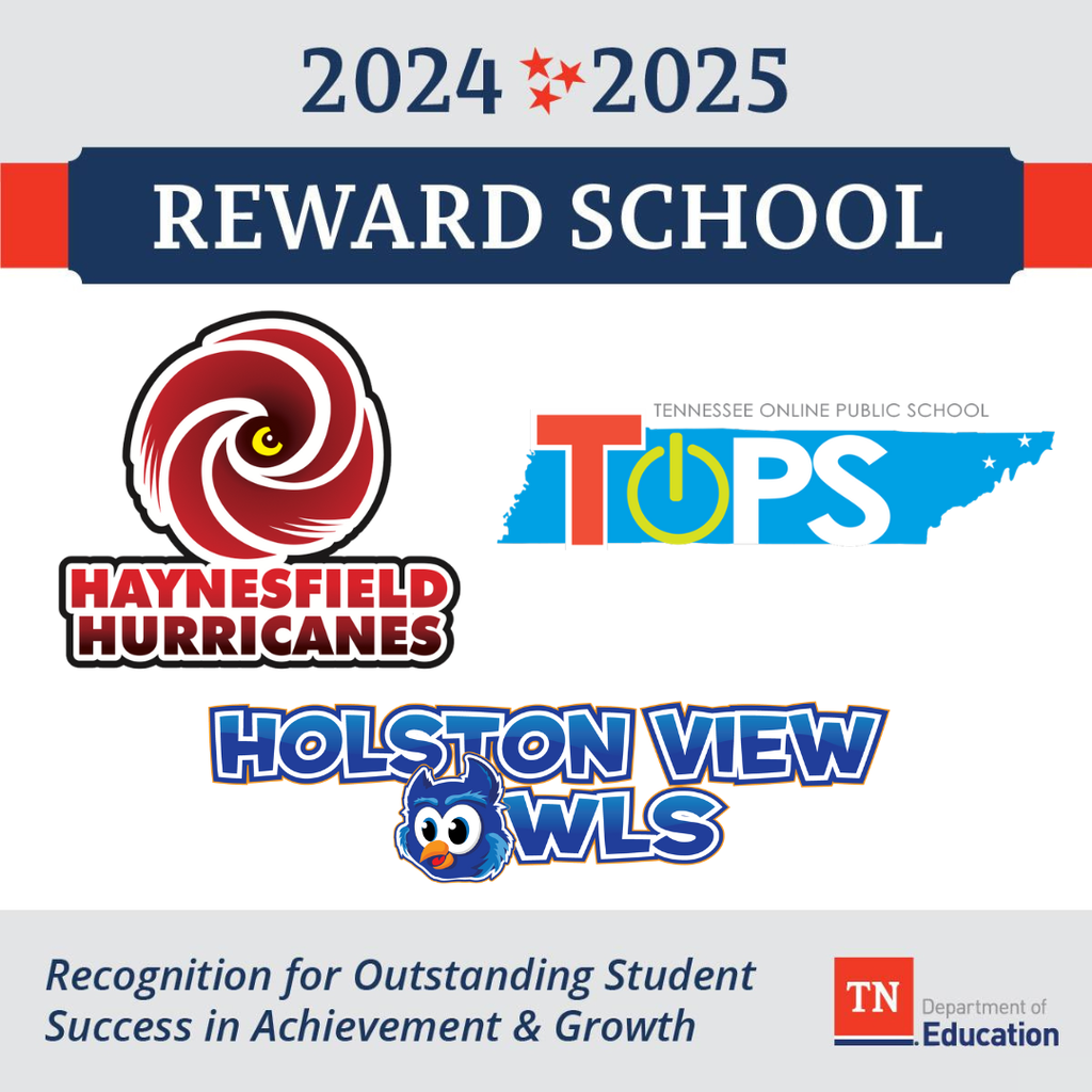 Graphic announcing three Bristol Tennessee City Schools named 2024–2025 Tennessee Reward Schools. The top banner reads “2024–2025 Reward School.” Logos for Haynesfield Hurricanes, Tennessee Online Public School (TOPS), and Holston View Owls appear in the center. A footer states “Recognition for Outstanding Student Success in Achievement & Growth” alongside the Tennessee Department of Education logo.
