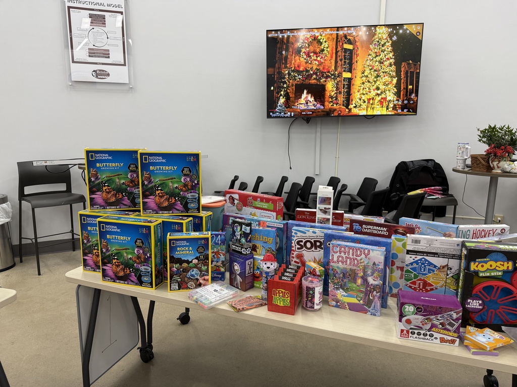A table displays STEM kits, classic board games, art kits, and children’s toys, with National Geographic butterfly and rock/mineral science kits prominently stacked on the left. A holiday fireplace scene plays on a TV mounted on the wall behind the table.