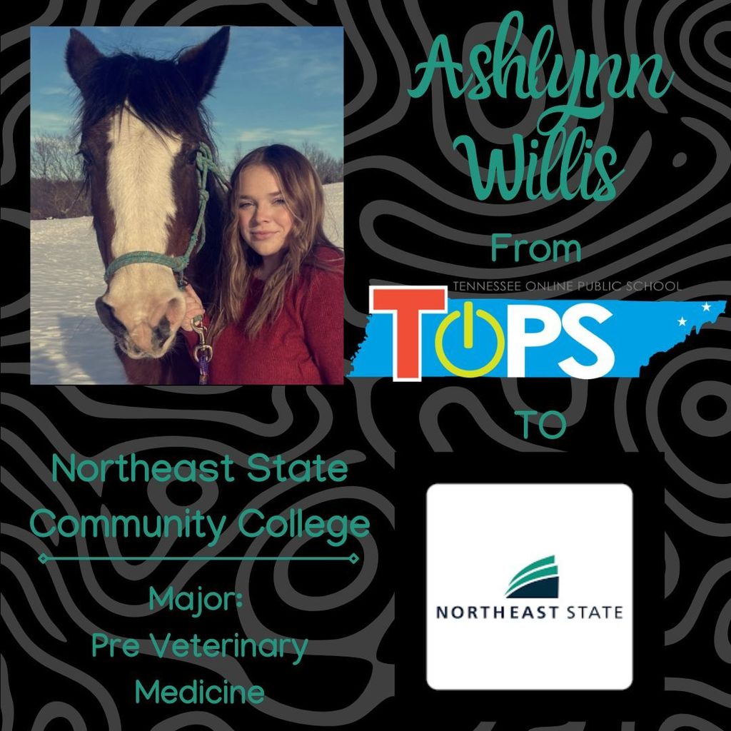 Graphic celebrating TOPS senior Ashlynn Willis. The image features a photo of Ashlynn standing beside a horse in a snowy outdoor setting. Text on the graphic reads: “Ashlynn Willis from TOPS to Northeast State Community College. Major: Pre Veterinary Medicine.” The Tennessee Online Public School (TOPS) logo and the Northeast State logo are displayed on a black background with abstract gray line patterns.