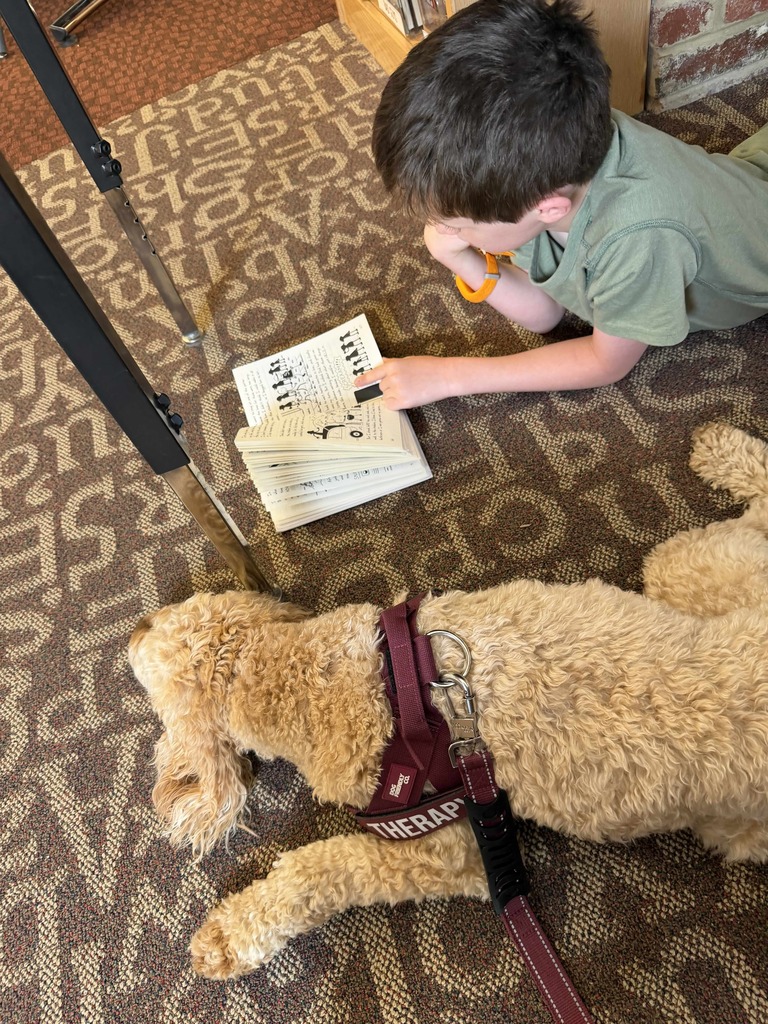 A student lies on the library carpet reading a chapter book during Drop Everything and Read (DEAR) time while Jingle, the BTCS therapy dog, relaxes quietly beside them, serving as a calm reading companion.