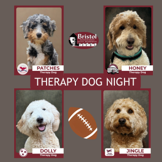 Graphic promoting Therapy Dog Night featuring four BTCS therapy dogs: Patches, Honey, Dolly, and Jingle. Each dog’s photo and name appear around a football graphic, with the headline “Therapy Dog Night.”