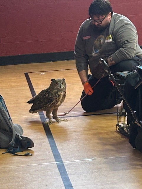 Handler kneeling beside a large owl standing on a gym floor near a pet carrier and backpack.