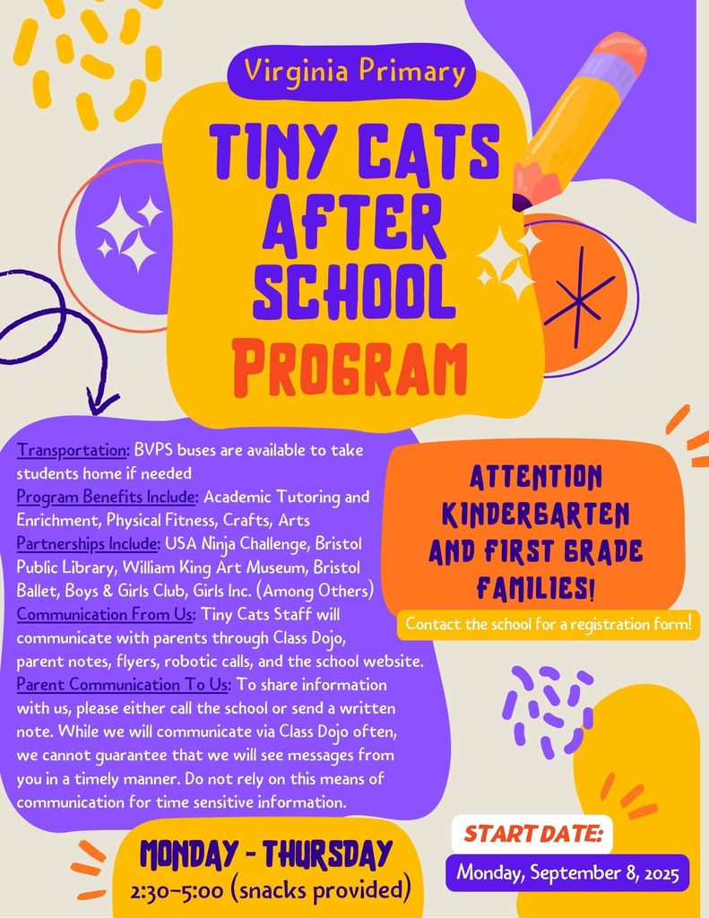 Tiny Cats Flyer