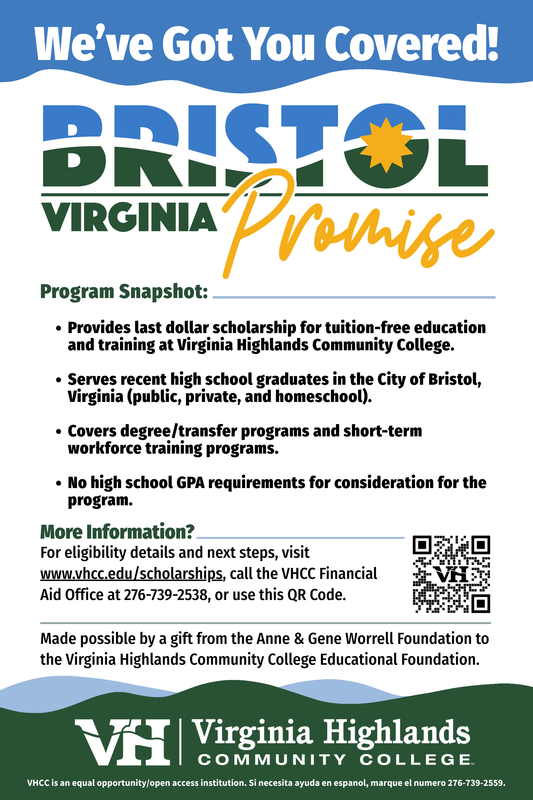 VHS - Bristol Promise