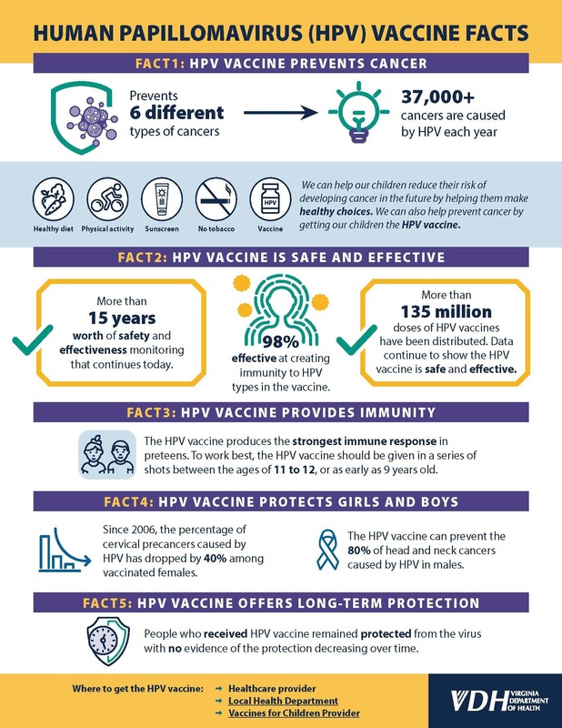 Rising 7th Grade VDH Infographic 1