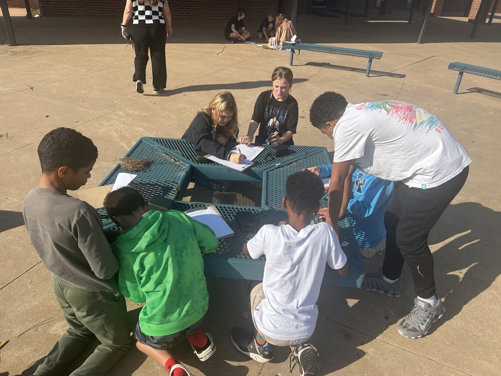 6th Graders Exploring Microscopic Structures Outside