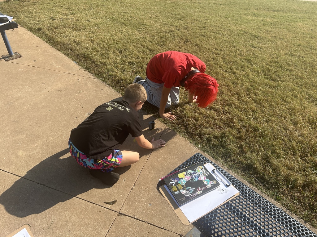 6th Graders Exploring Microscopic Structures Outside