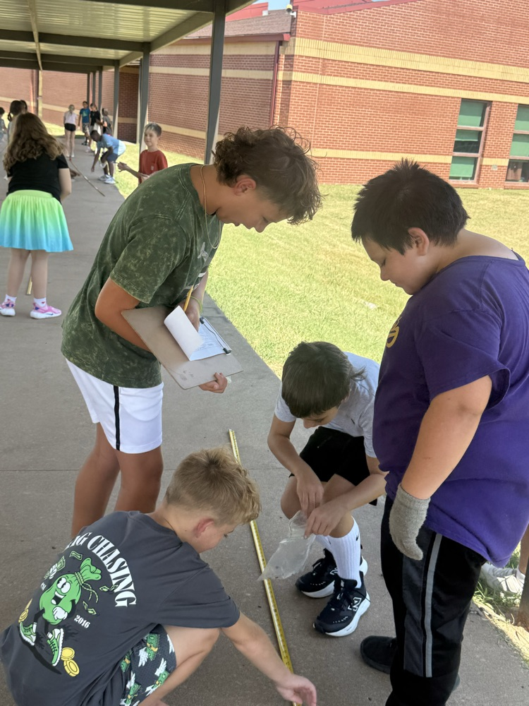 Fun with math!