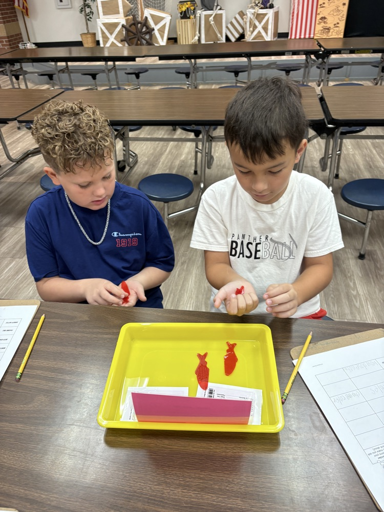 science experiments