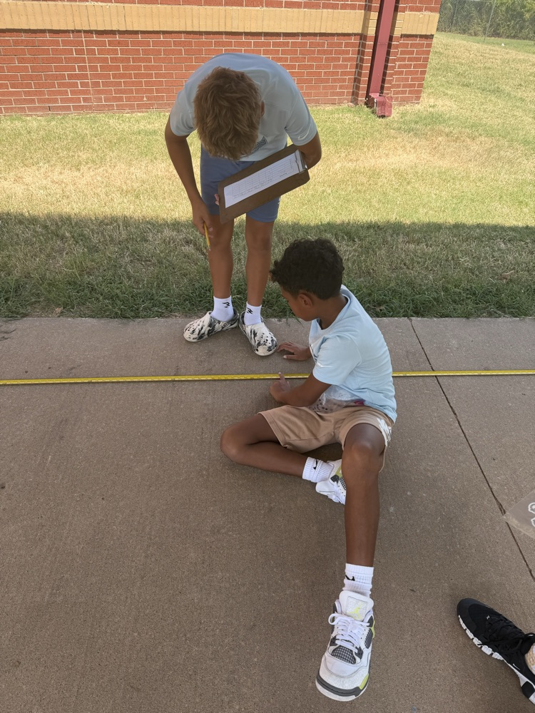 measurements 