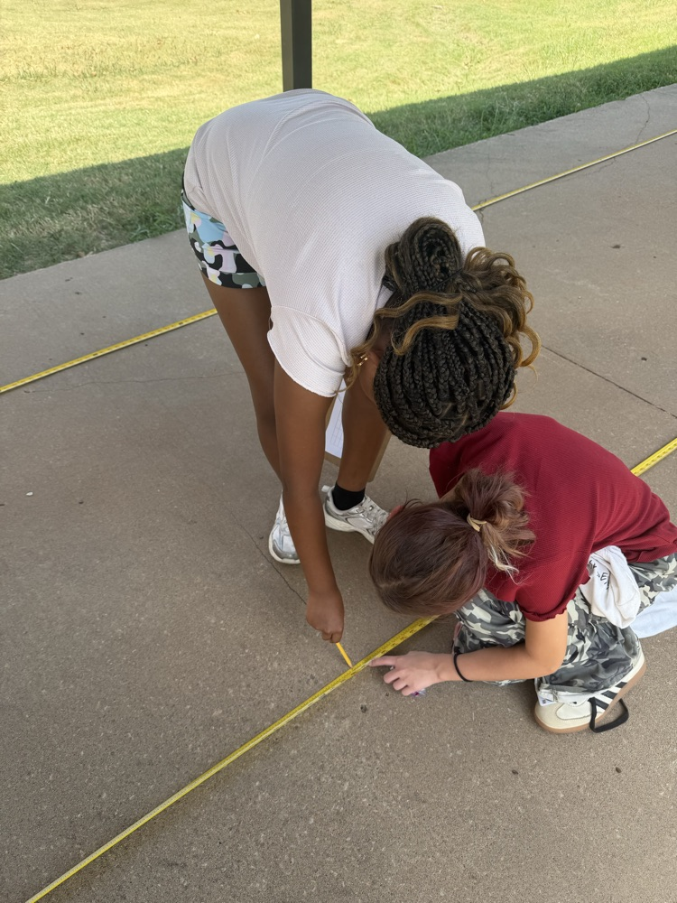 measurements