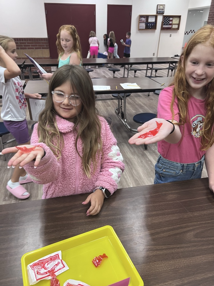 science experiments 