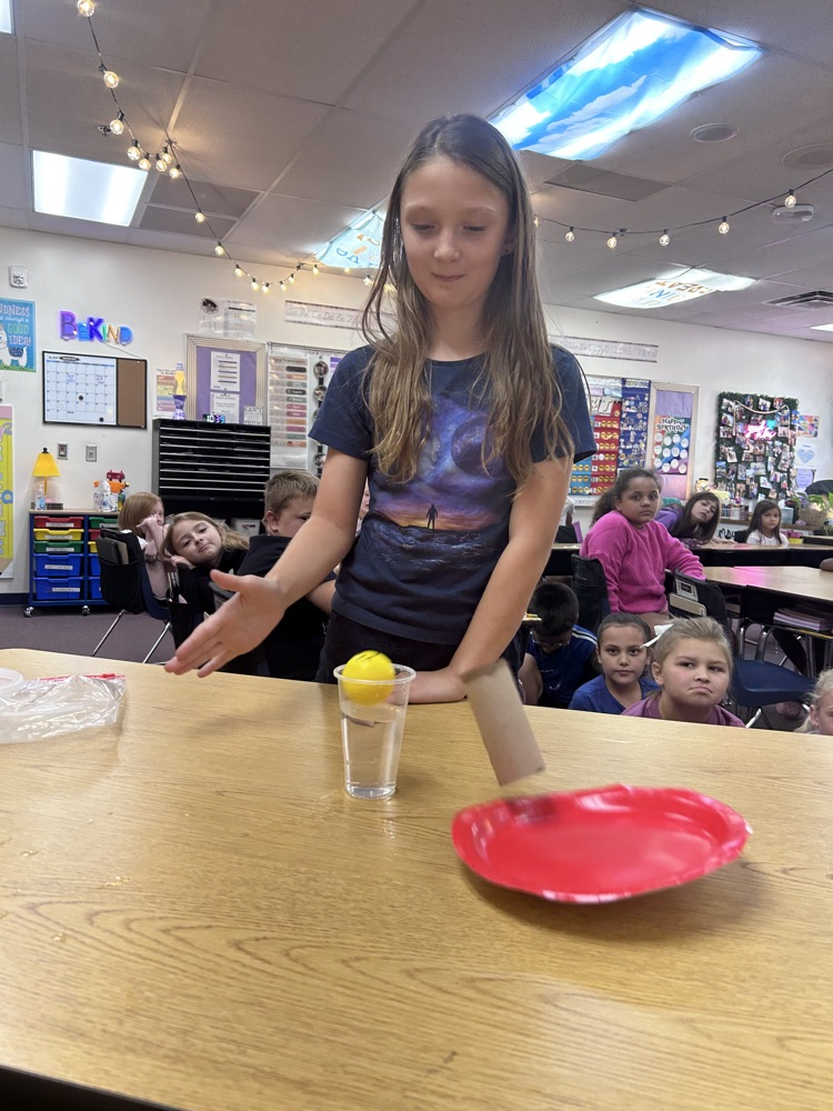 experimenting with force and motion
