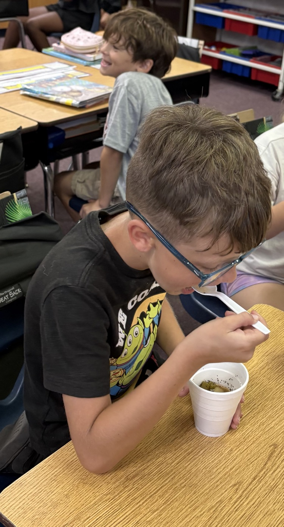 Stone Soup!