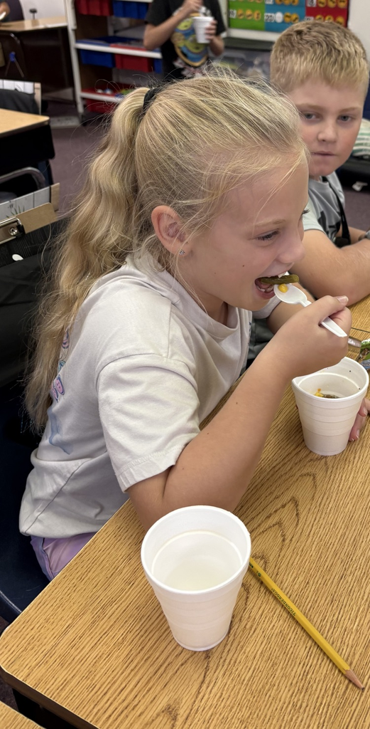 Stone Soup!