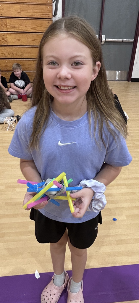 Egg drop challenge!