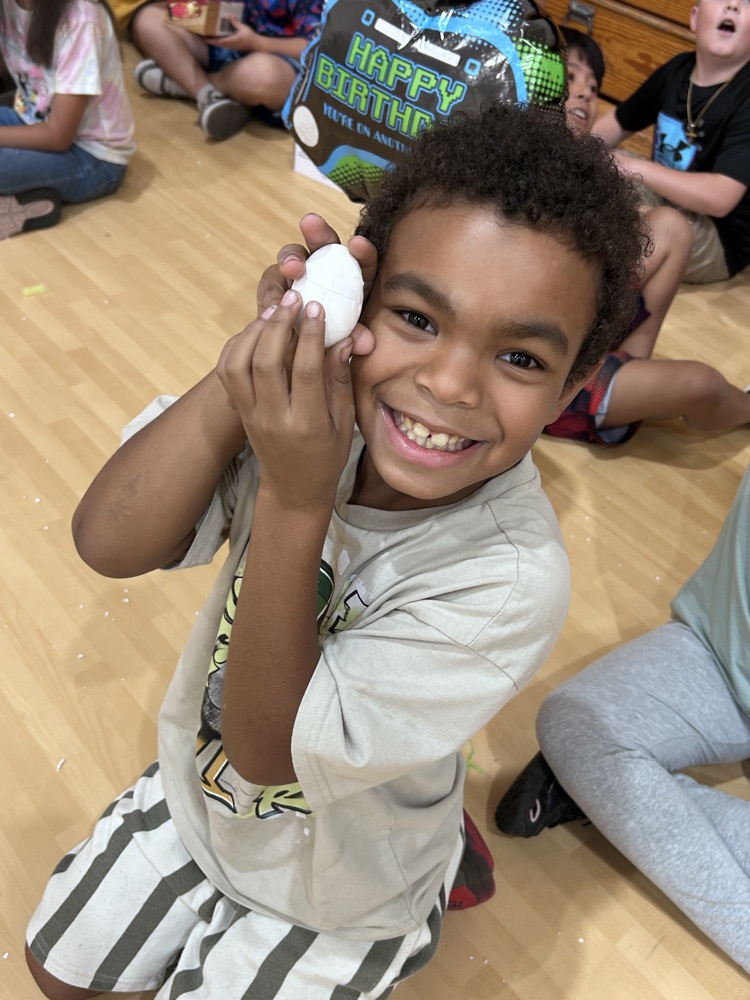 Egg drop challenge!