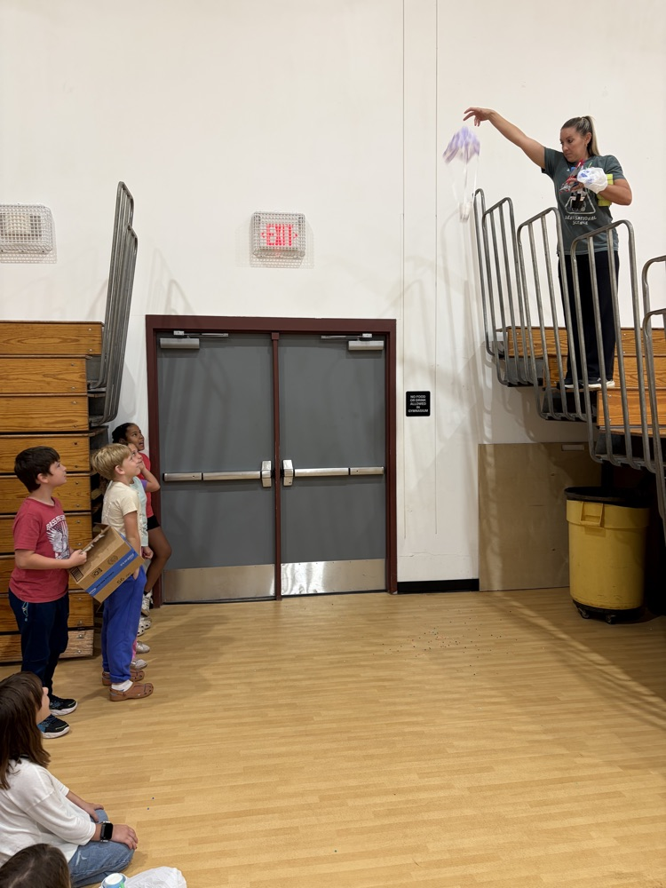 Egg Drop Challenge!