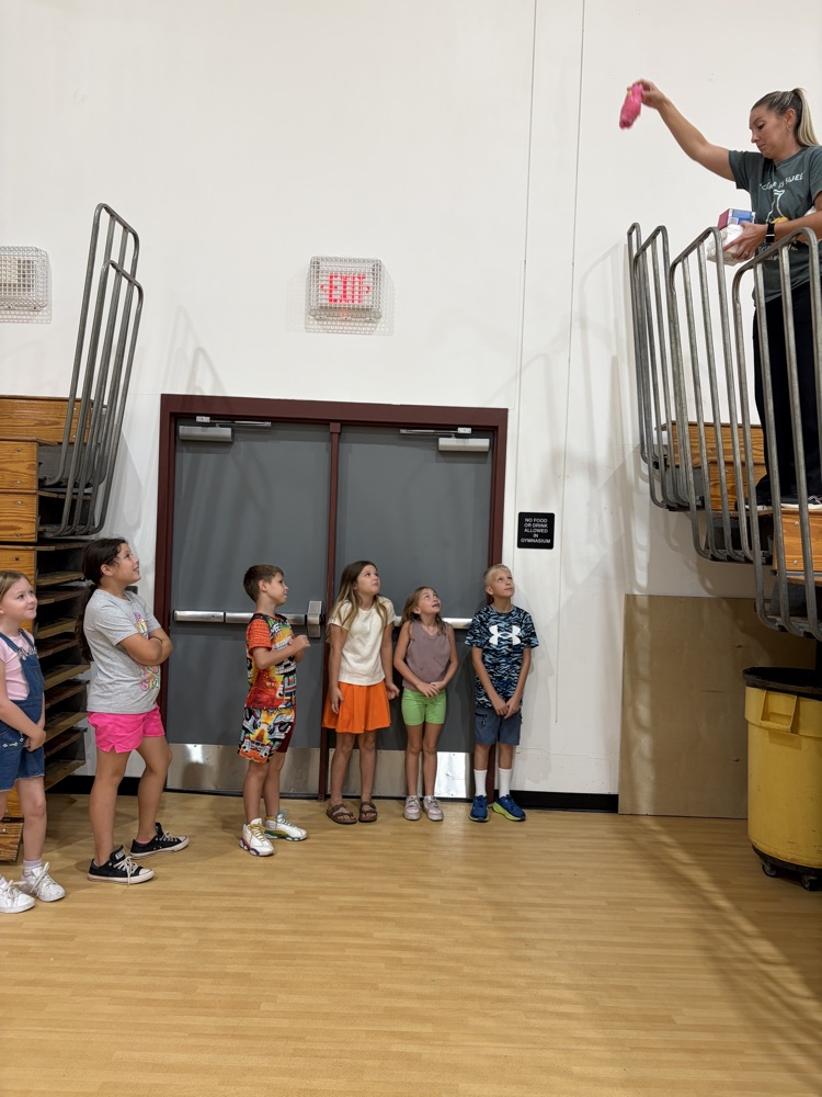 Egg Drop Challenge!
